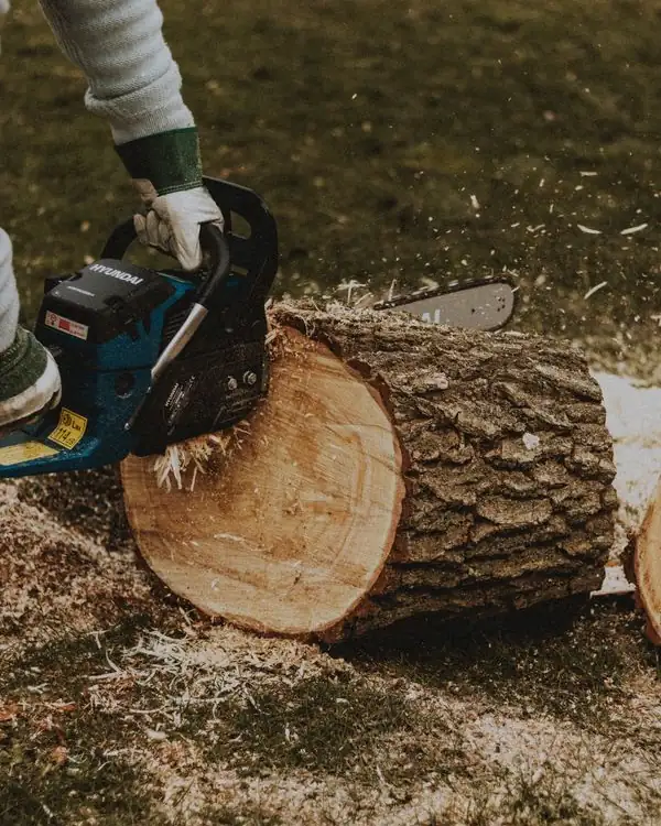 Chainsaw cutting a log into rounds